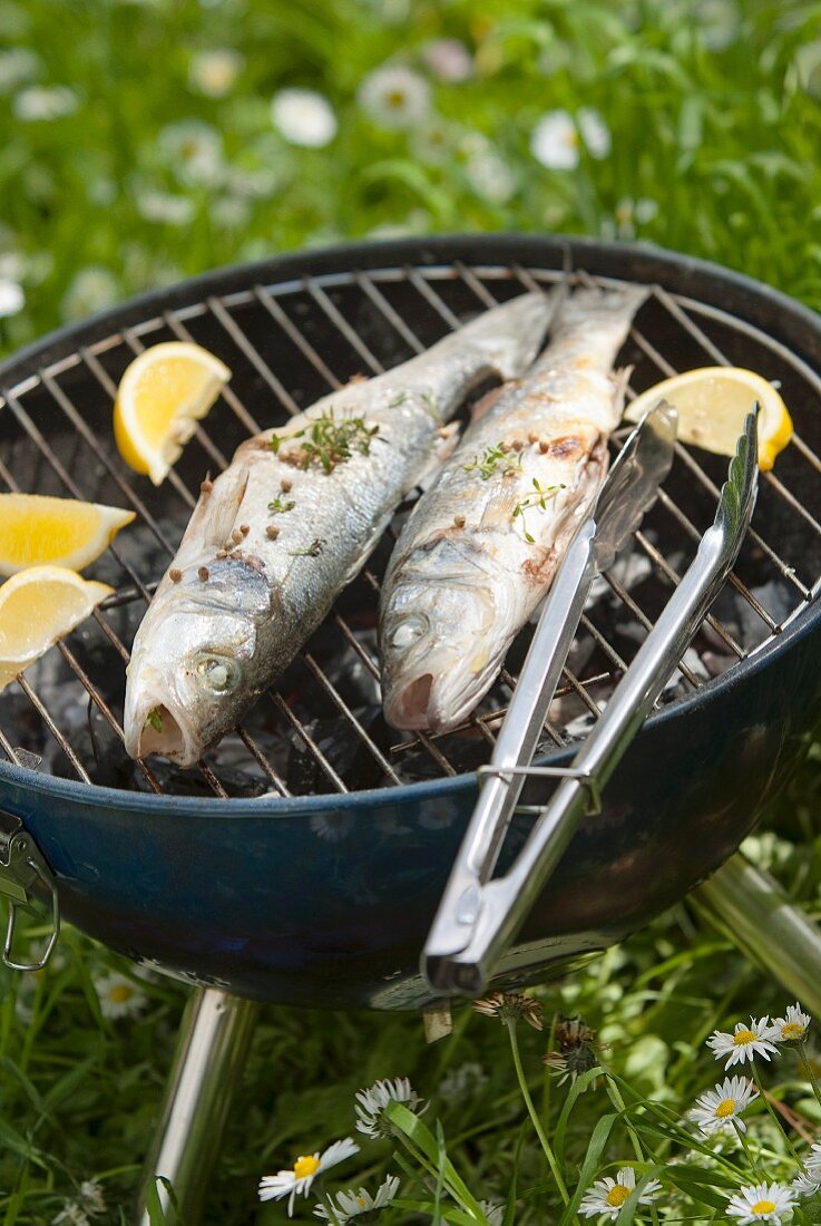 Grilled bass on the barbecue