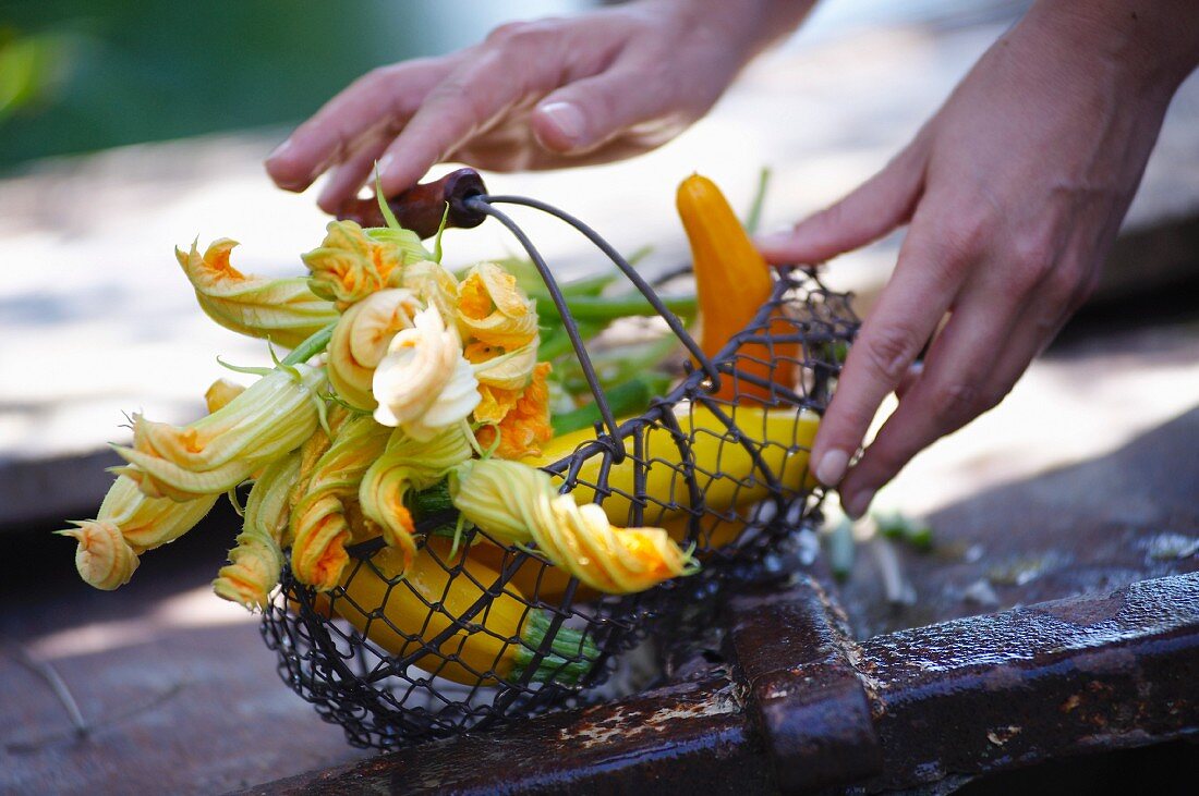 Basket of yellow zucchinis and flowers