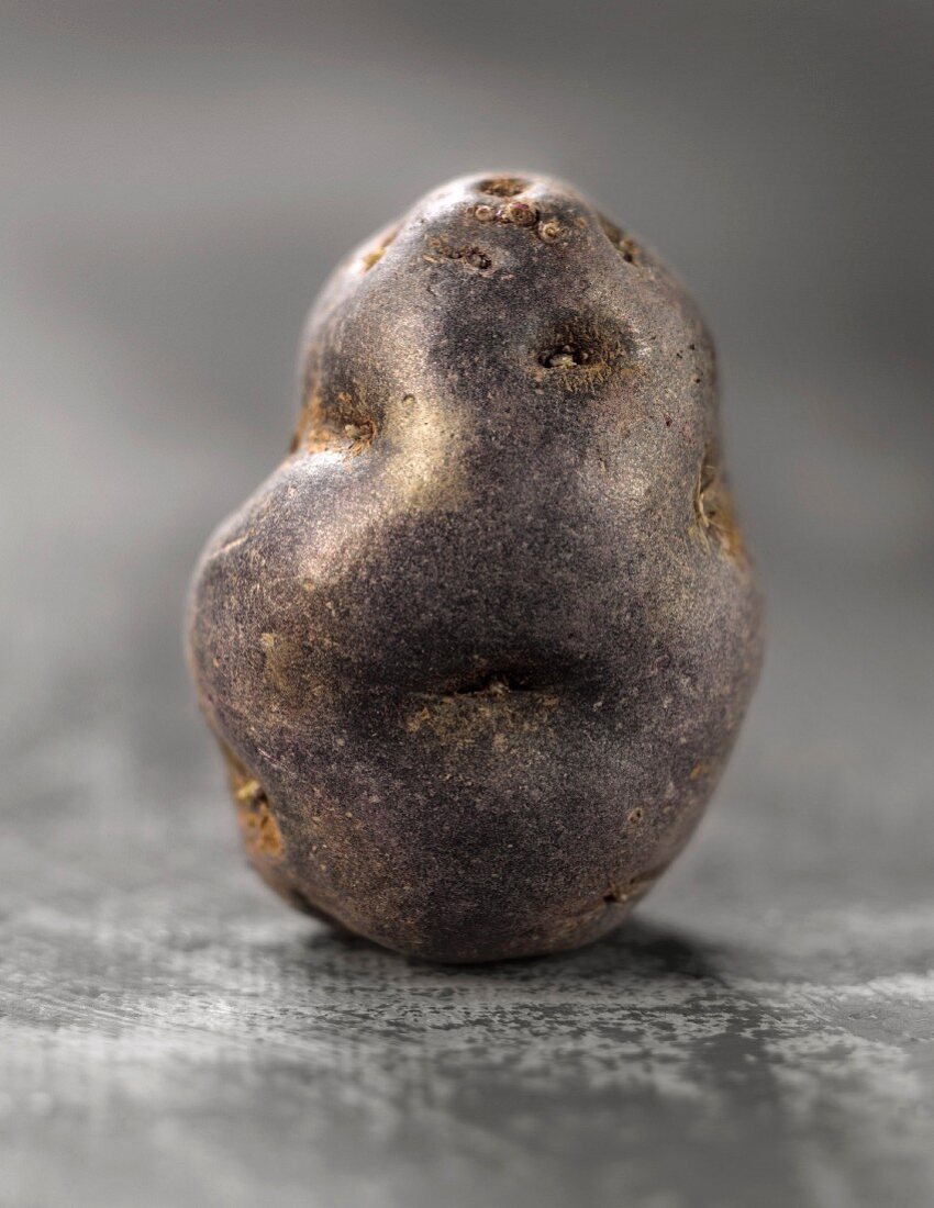 Vitelotte potato