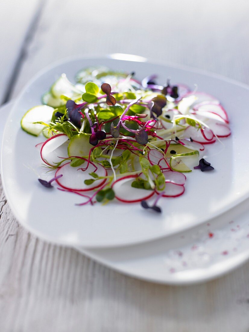 Radieschen-Gurken-Carpaccio mit Sprossen