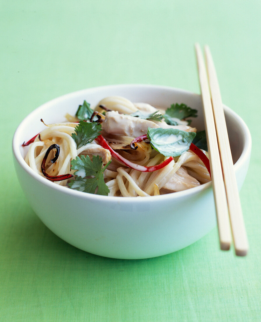 Soba noodle, chicken, red pepper and coriander salad