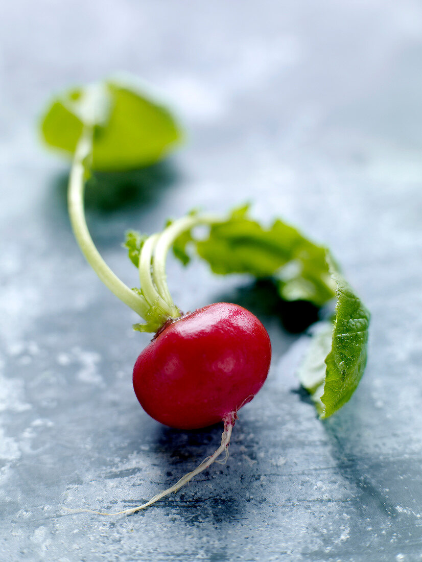 Pink radish