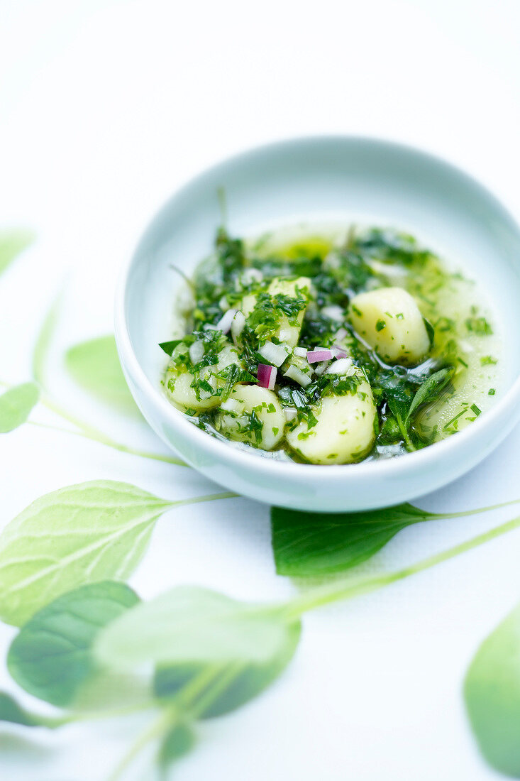 Kartoffelsalat mit frischen Kräutern