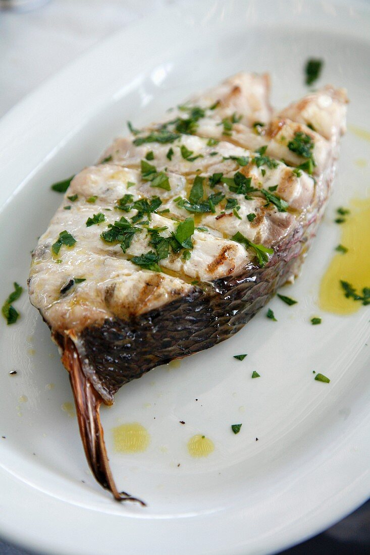 Fish steak grilled on the barbecue with herbs