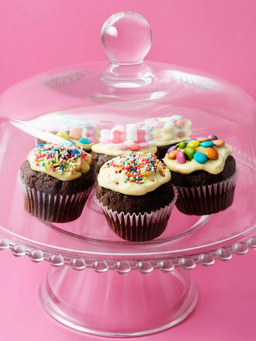 Cupcakes under a glass dome