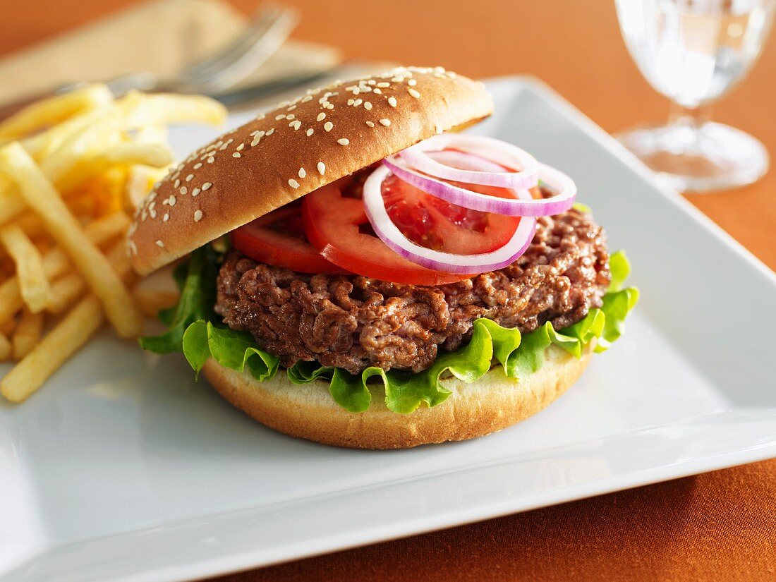 Ein Hamburger mit Pommes