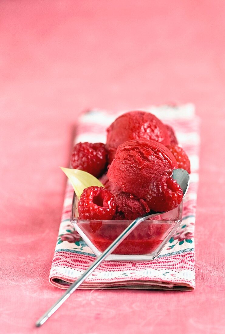 Raspberry sorbet