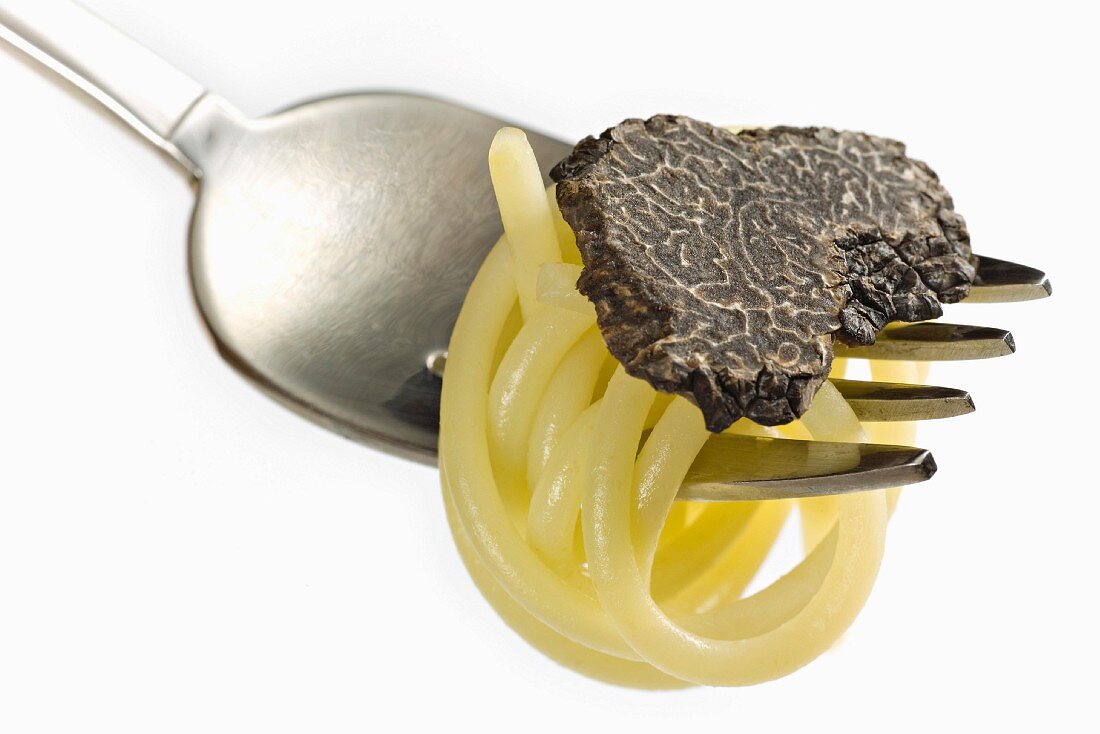 Spaghettis and sliced truffle on a fork