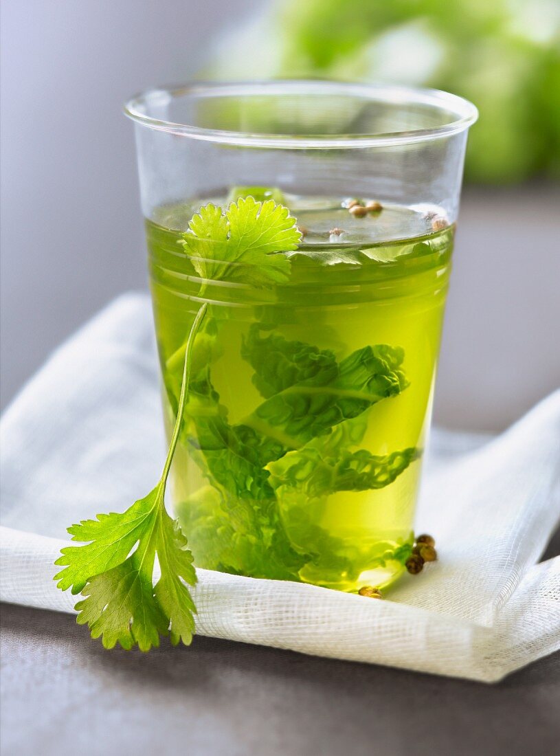 Green cabbage and cilantro detox broth