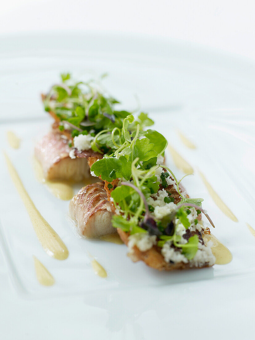 Frischer Fisch mit Kokoschips und Estragon