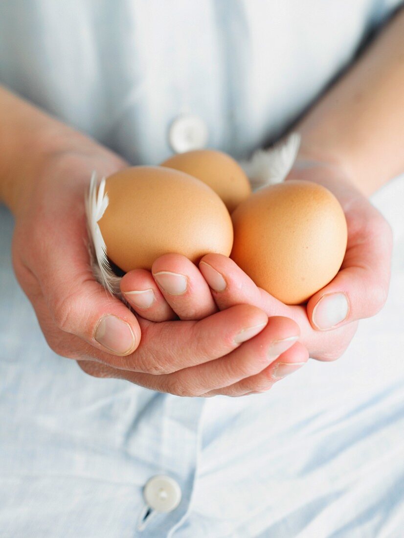 Handful of eggs