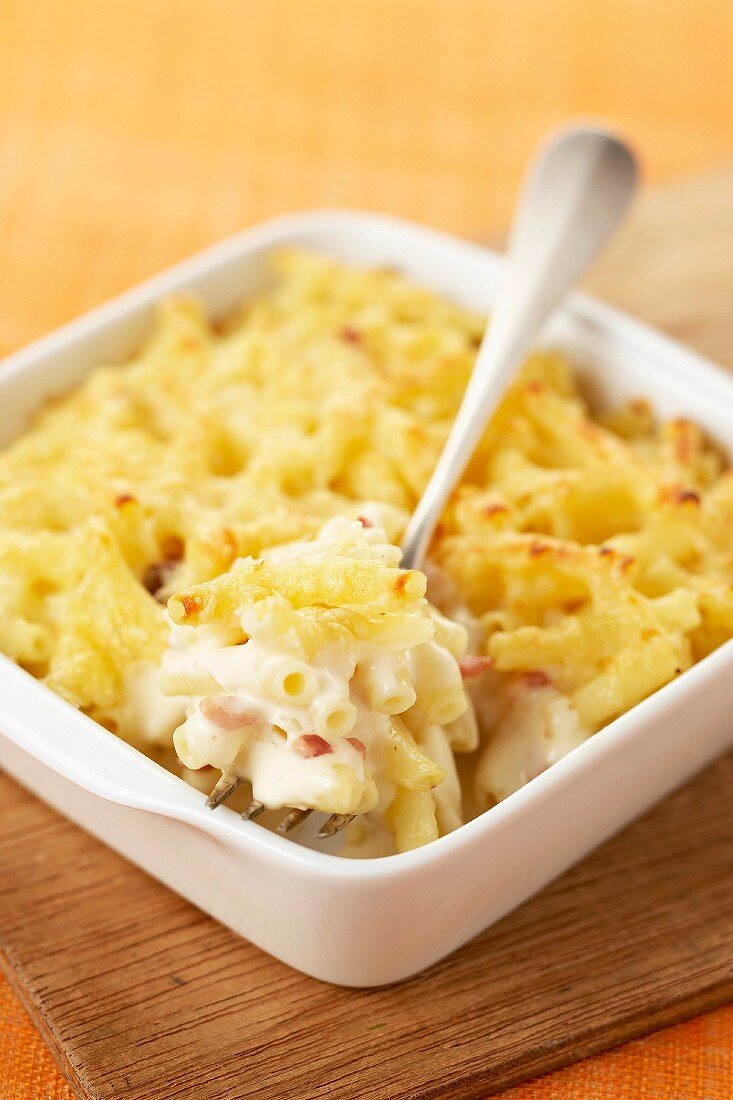 Macaronis and bechamel sauce cheese-topped dish