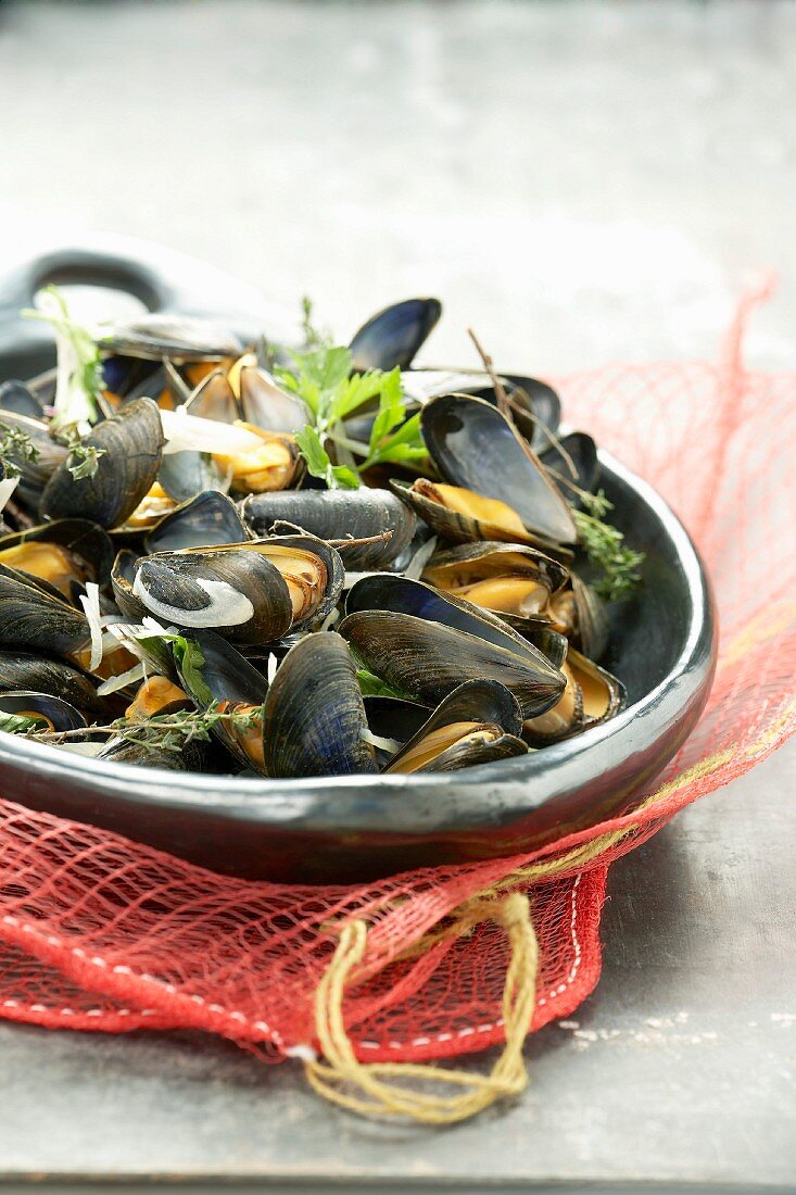 Moules marinières (Miesmuscheln in Weissweinsauce, Frankreich)