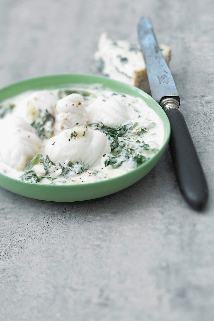 Monkfish and spinach casserole with blue cheese sauce