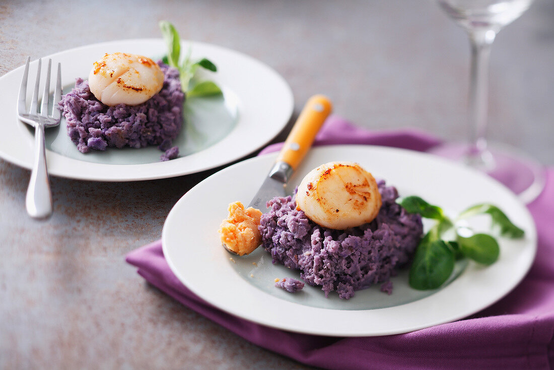 Scallops with scallop roe butter and mashed purple potatoes