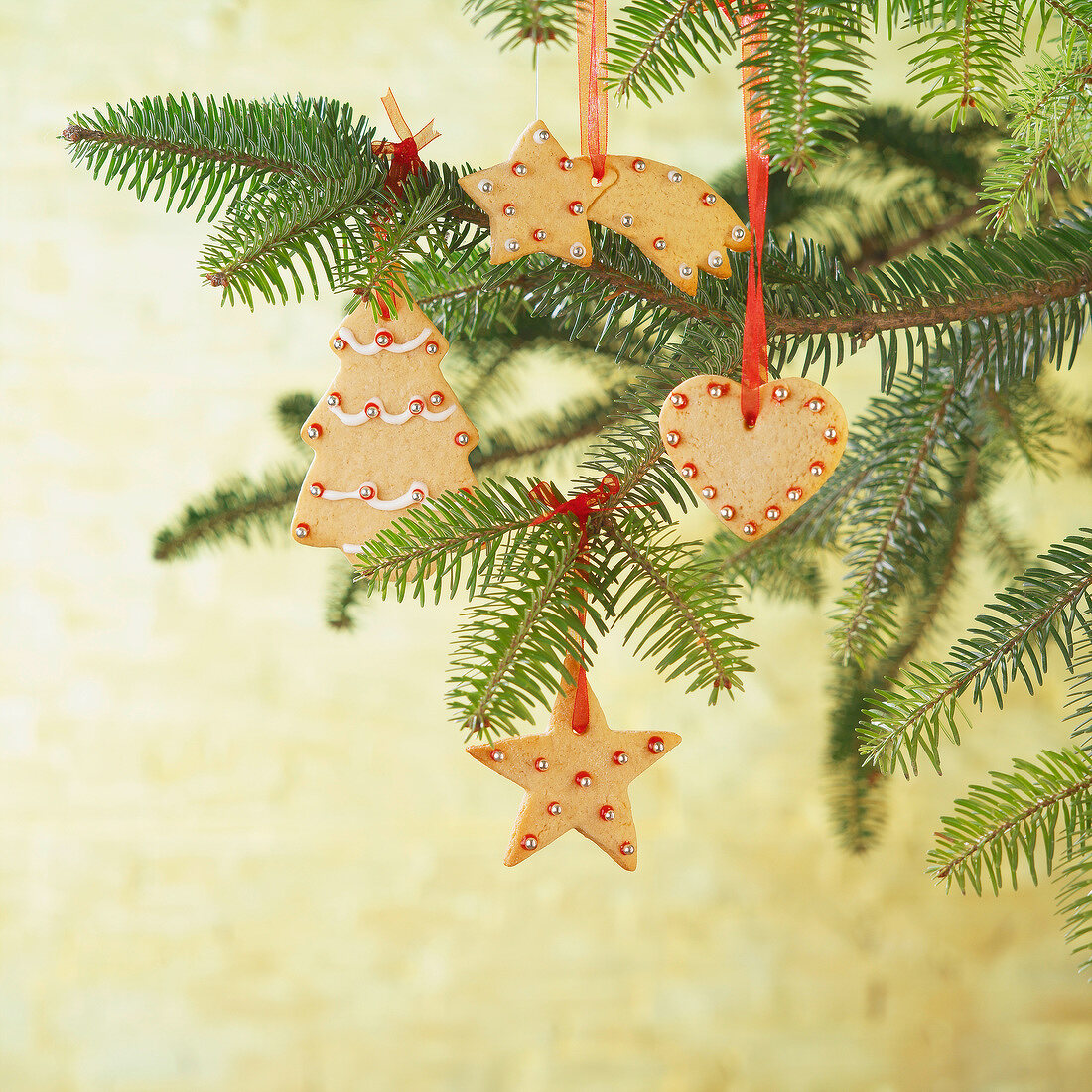 Christmas cookies hanging on a Christmas tree