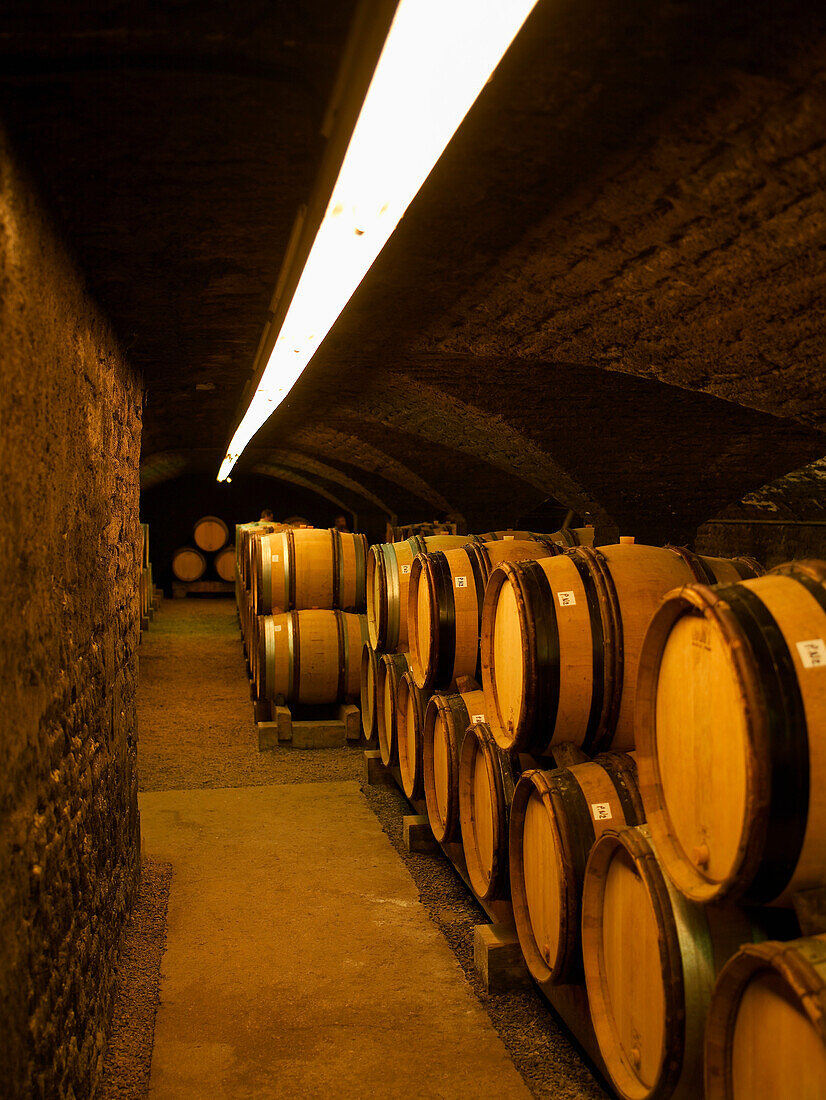 Wooden wine barrels in a cellar