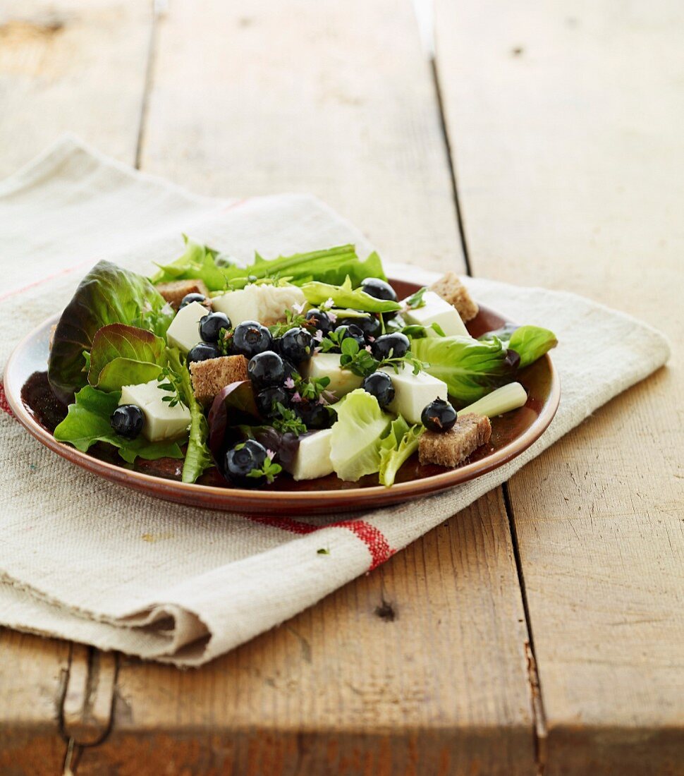 Lettuce,fresh Tomme cheese,blueberry,croutons and basil salad