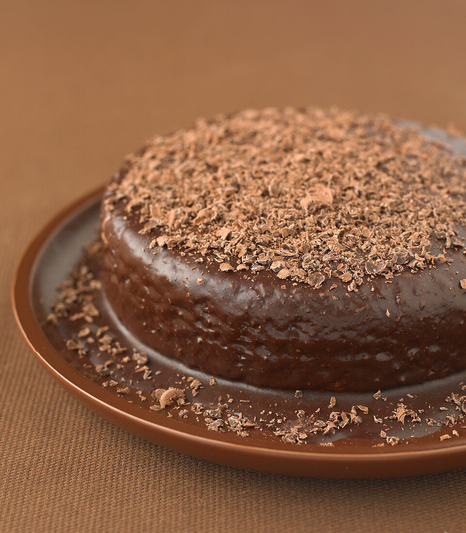 Leichter Biskuitkuchen mit Schokoguss