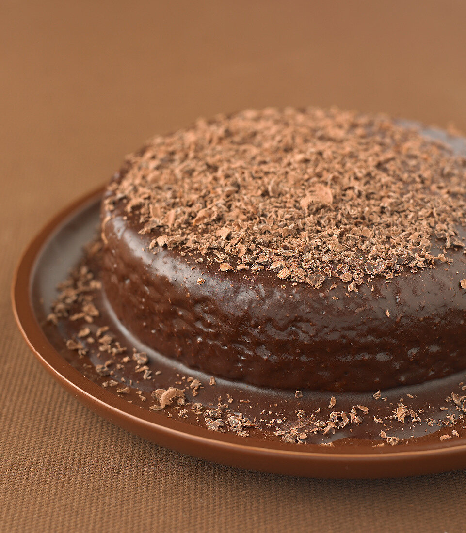 Light spong cake with chocolate frosting
