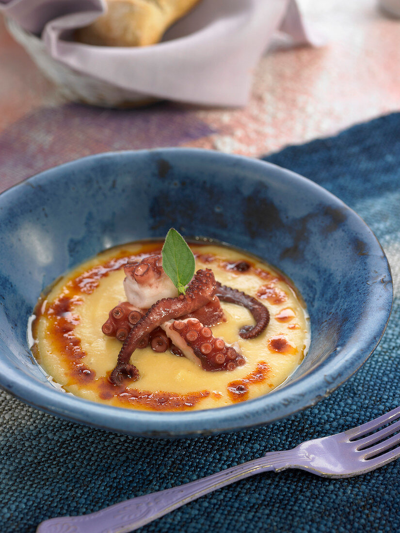 Cream of orange lentil soup with octopus
