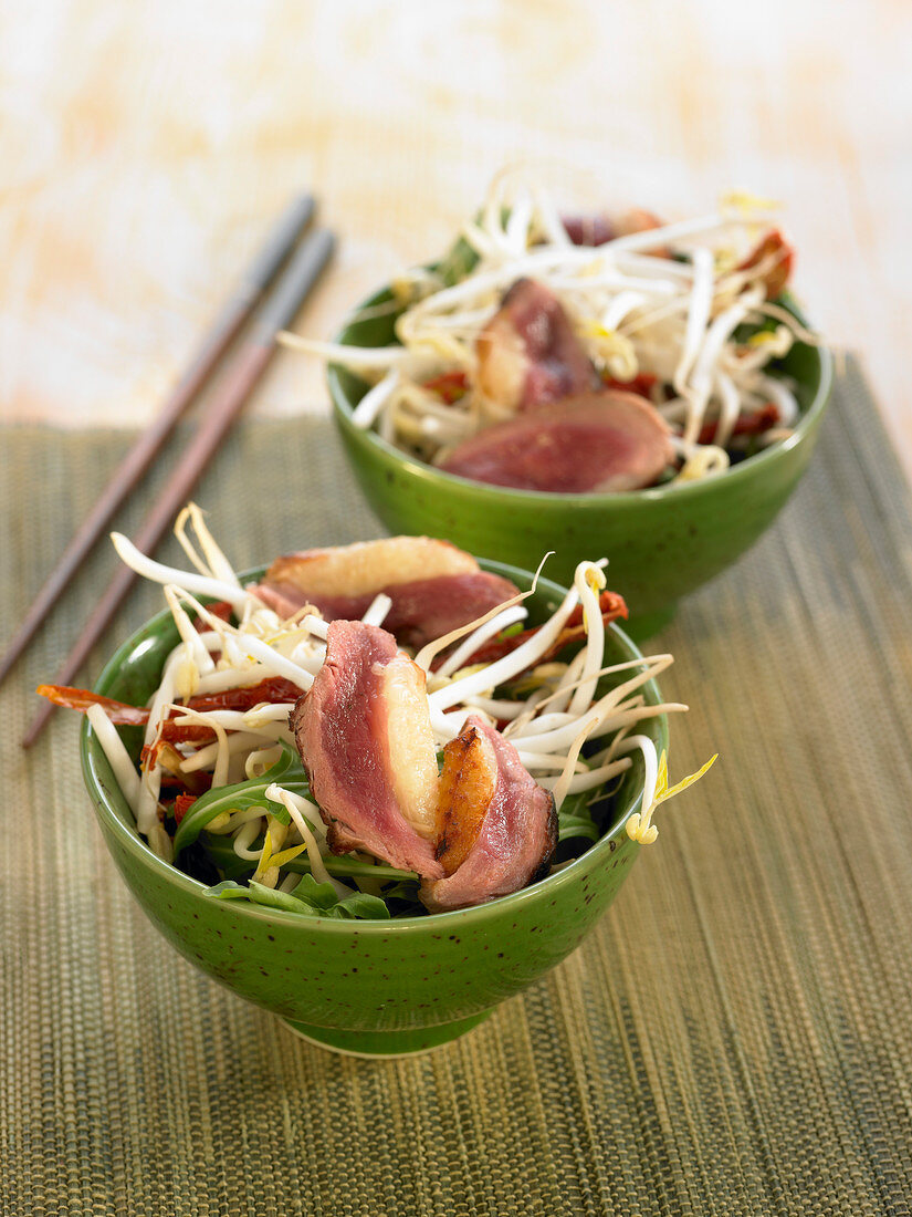 Beansprout, rocket lettuce, duck magret and sun-dried tomato salad