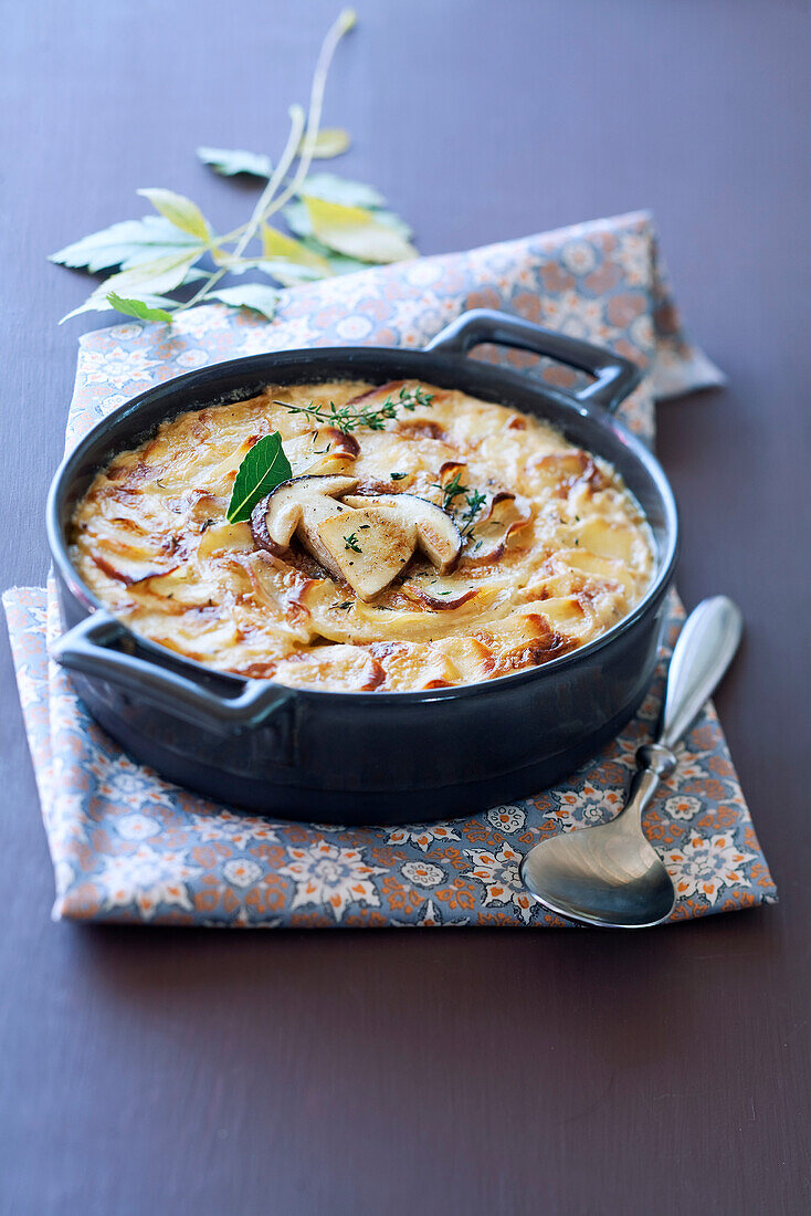 Gratin dauphinois with ceps