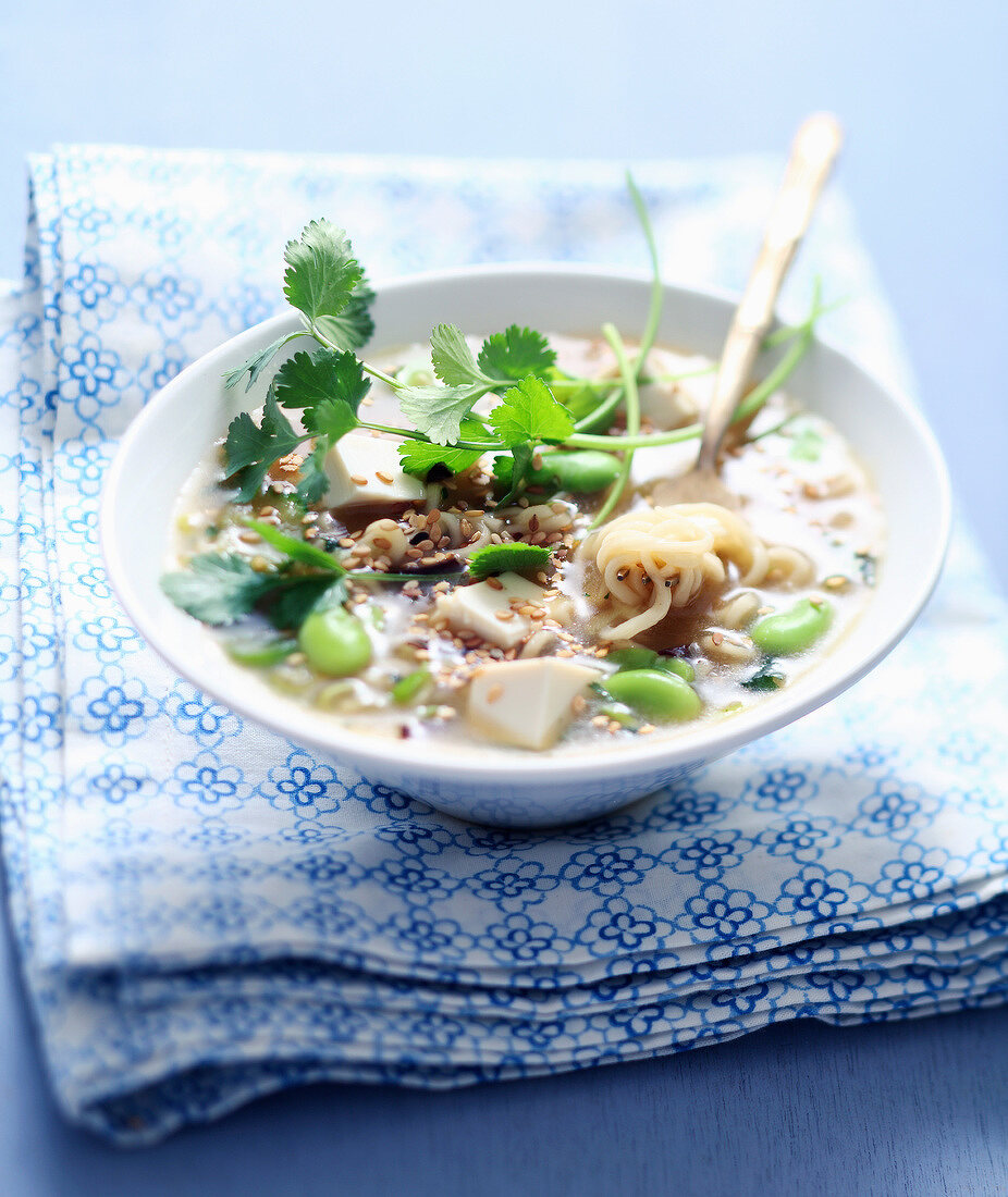 Soba noodle broth with tofu,broad beans and sesame seeds