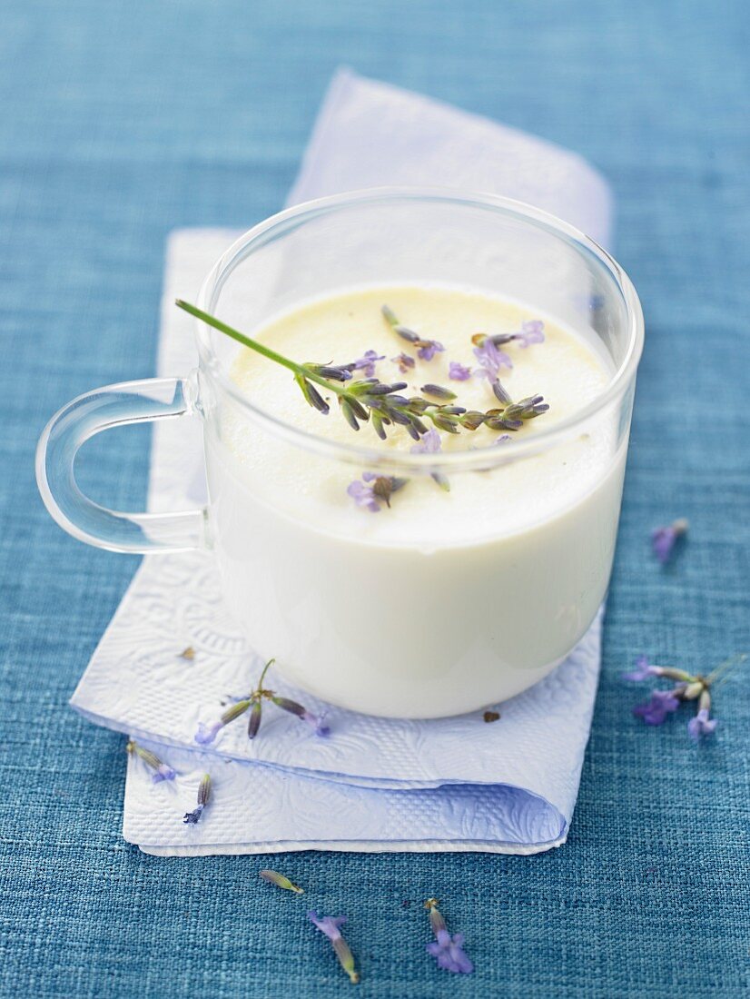 Panna Cotta mit Lavendel