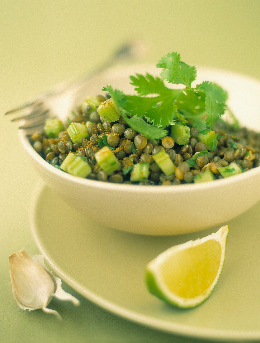 Green lentil and celery stalk salad with cilantro