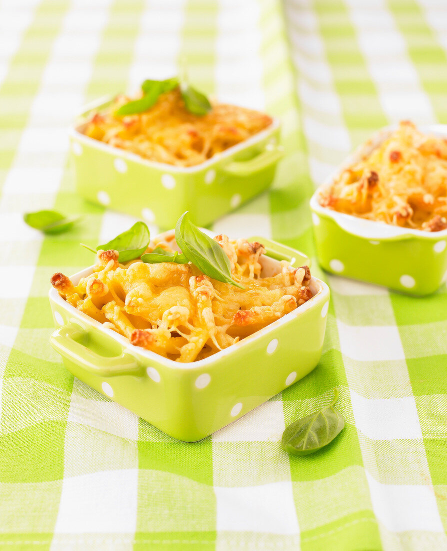 Individual macronis gratins