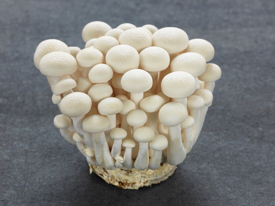 White Shimeji mushrooms