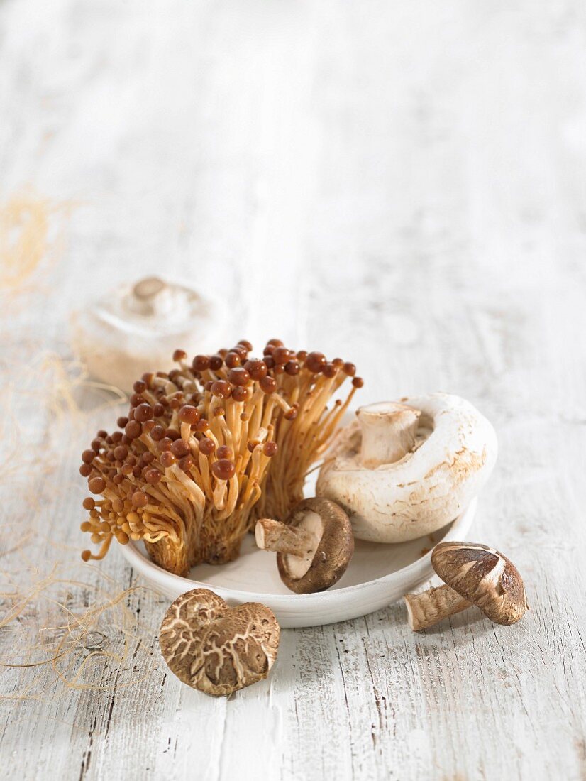 Verschiedene Pilze: Champignon, Golden Enoki und Shiitake