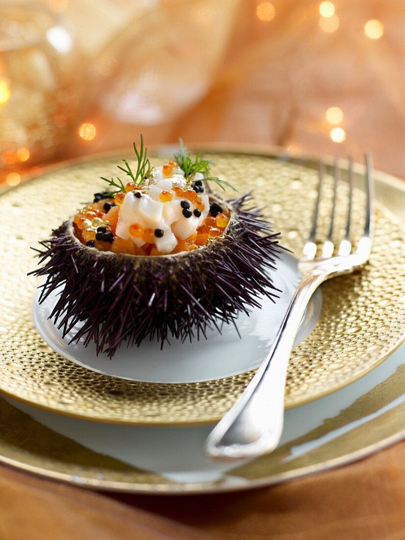 Urchin stuffed with scallops and salmon roe