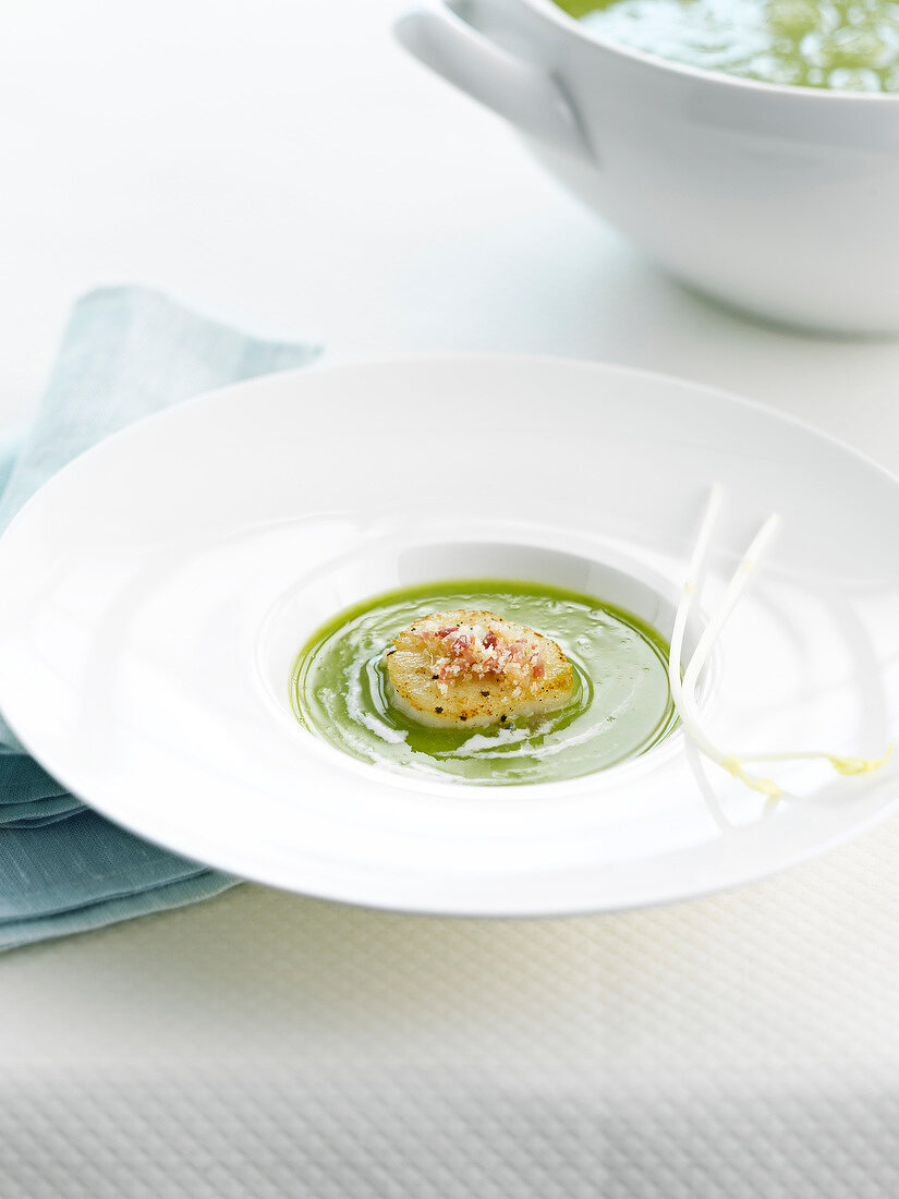 Cream of pea soup with scallops