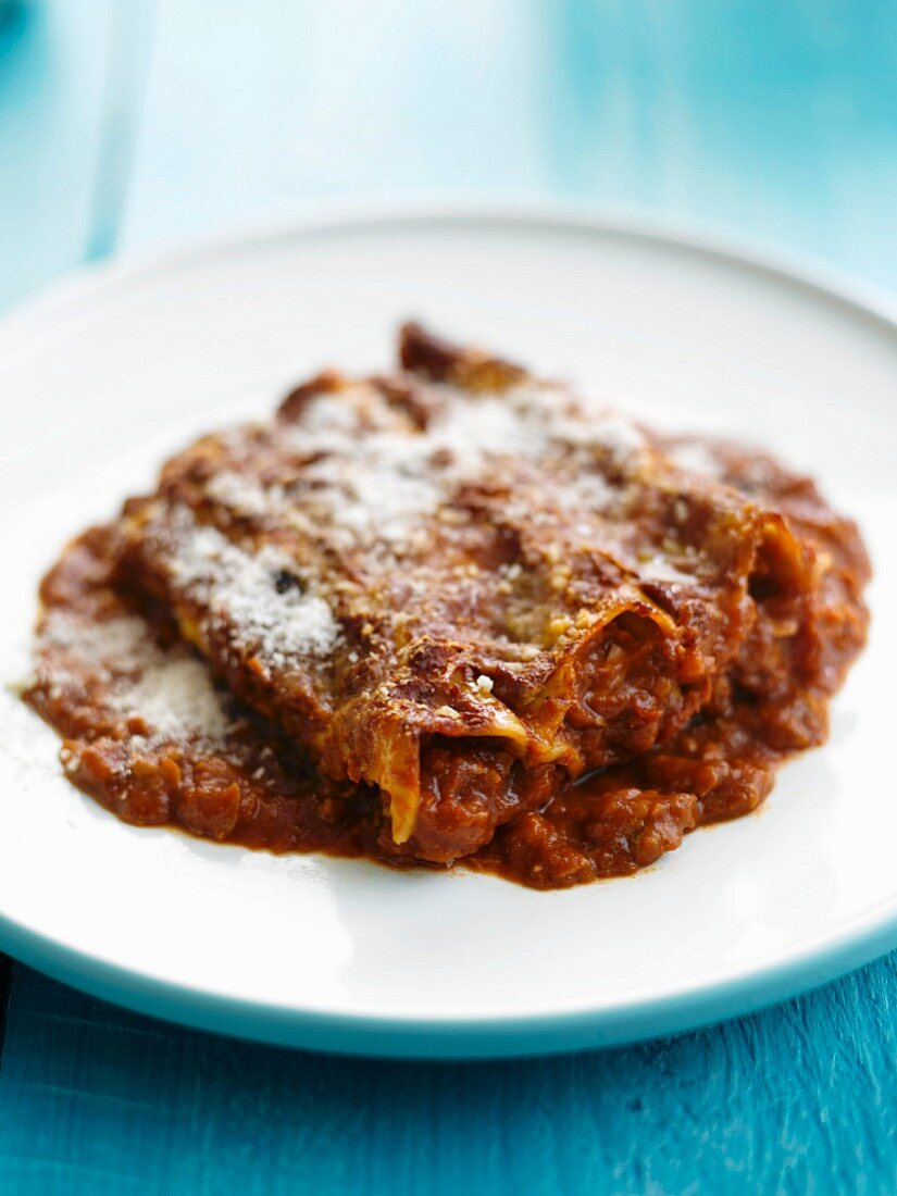Meat cannellonis in tomato sauce