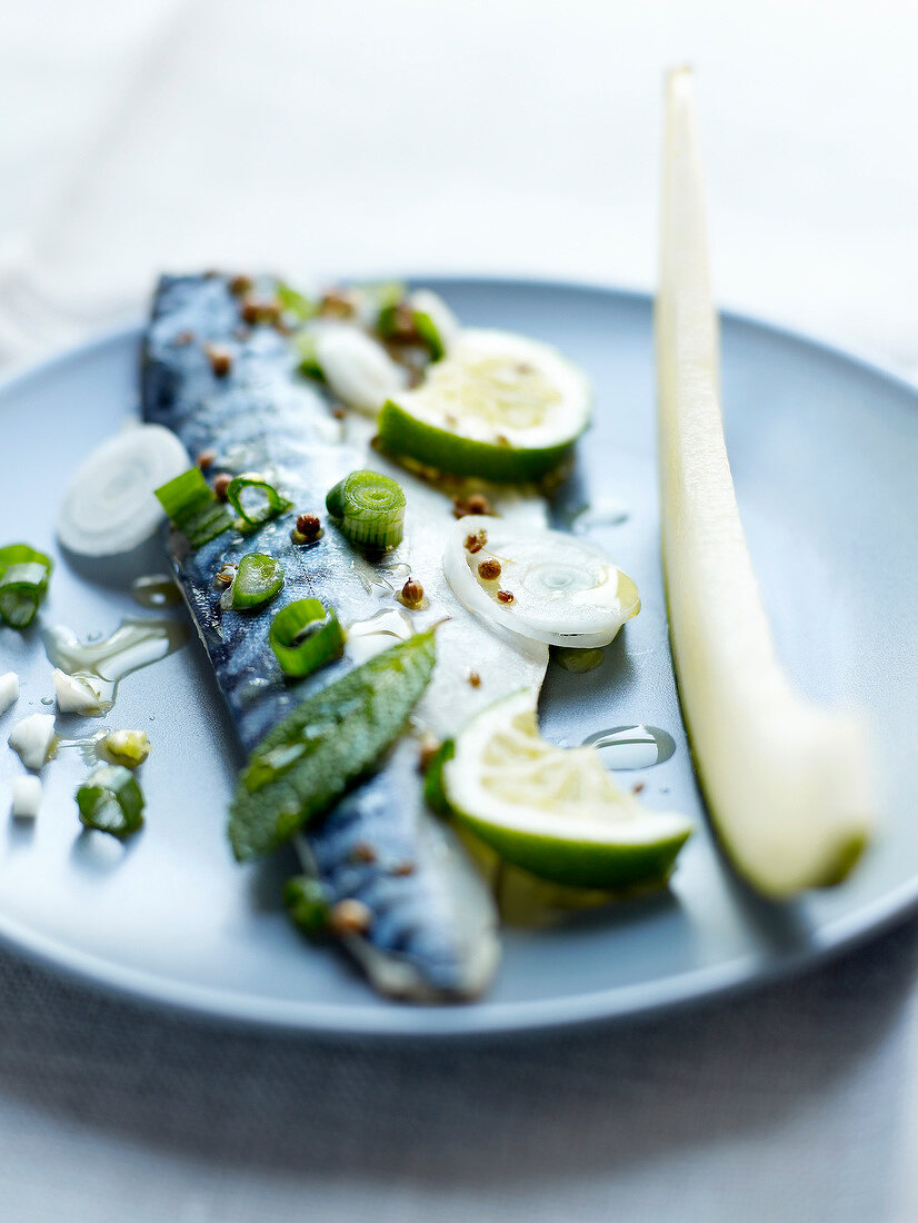 Marinated mackerel fillet with lime, mint and fennel