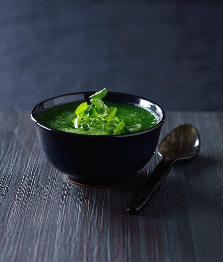 Cream of watercress soup