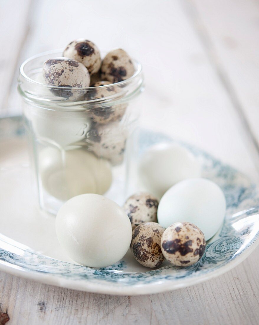 White eggs and quail's eggs