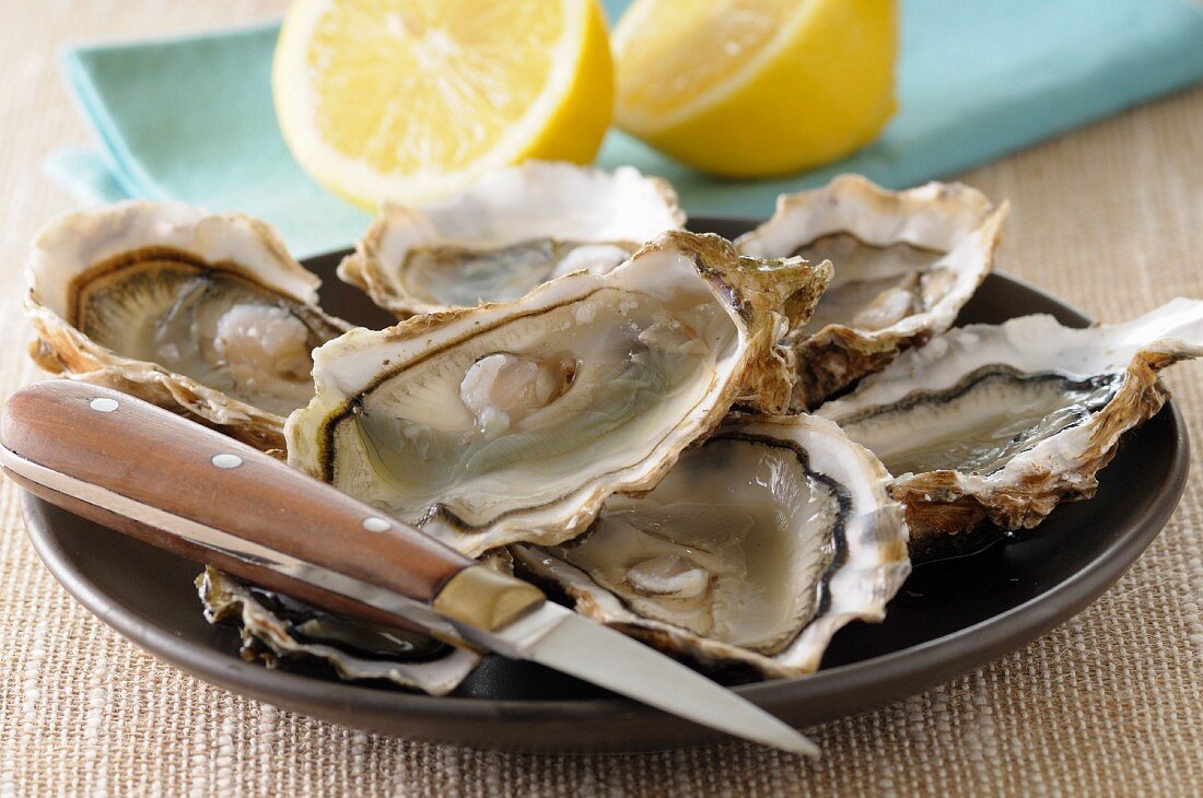 Plat of open oysters