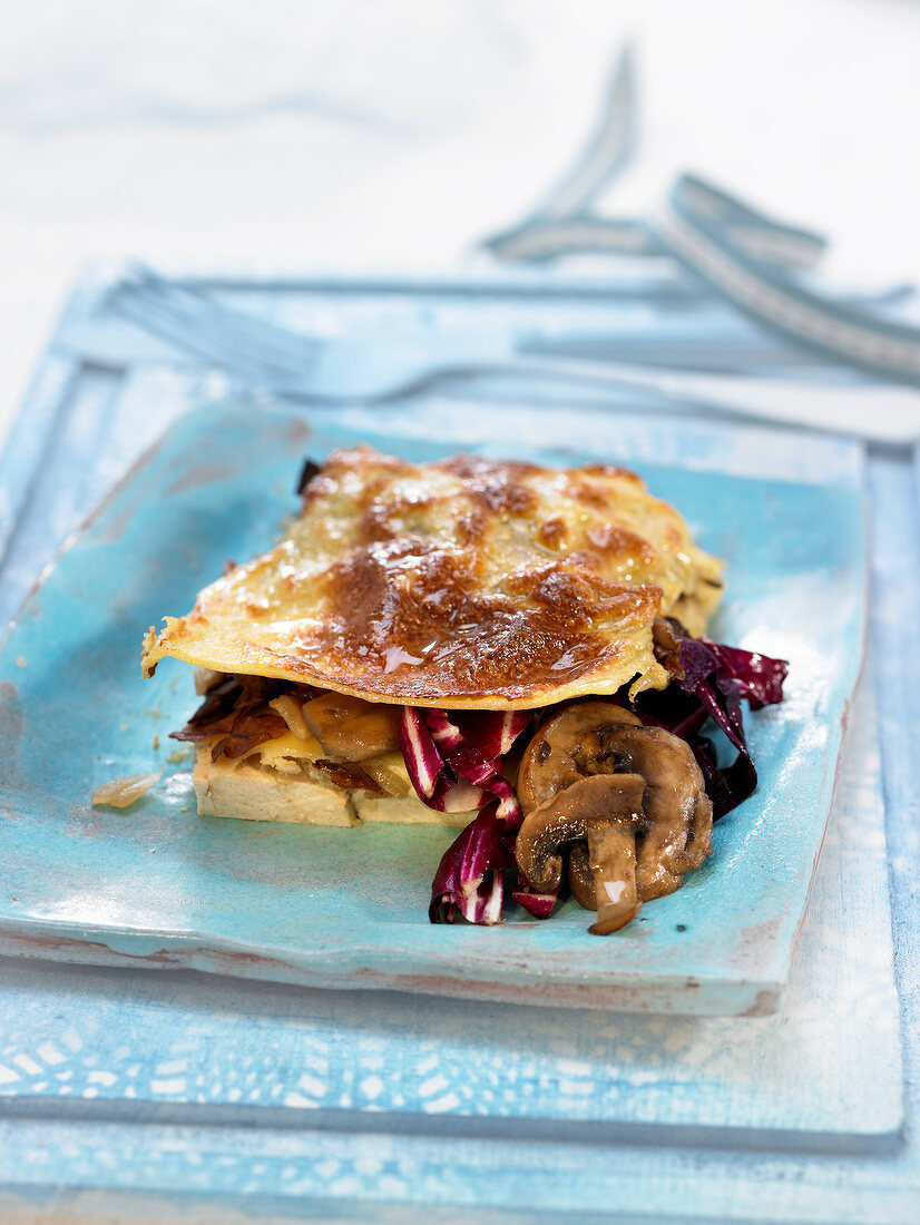 Lasagne mit geräuchertem Tofu, Radicchio und Pilzen