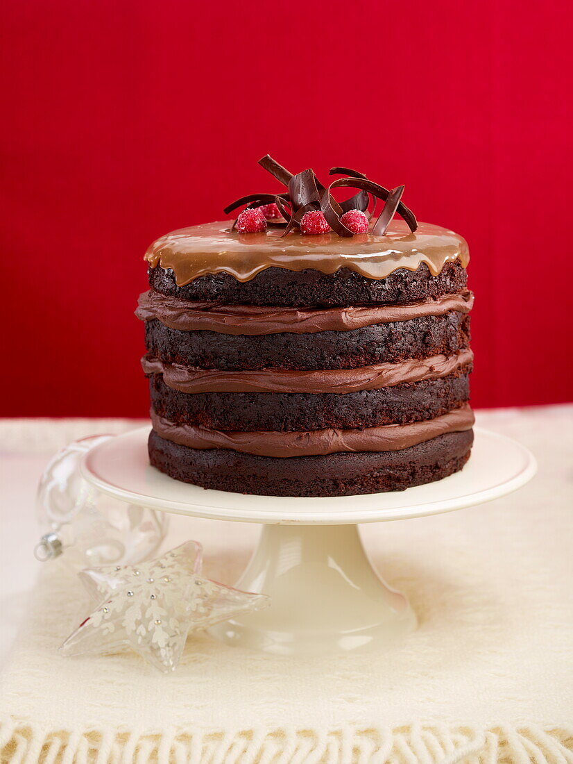 Large chocolate and raspberry soft cake