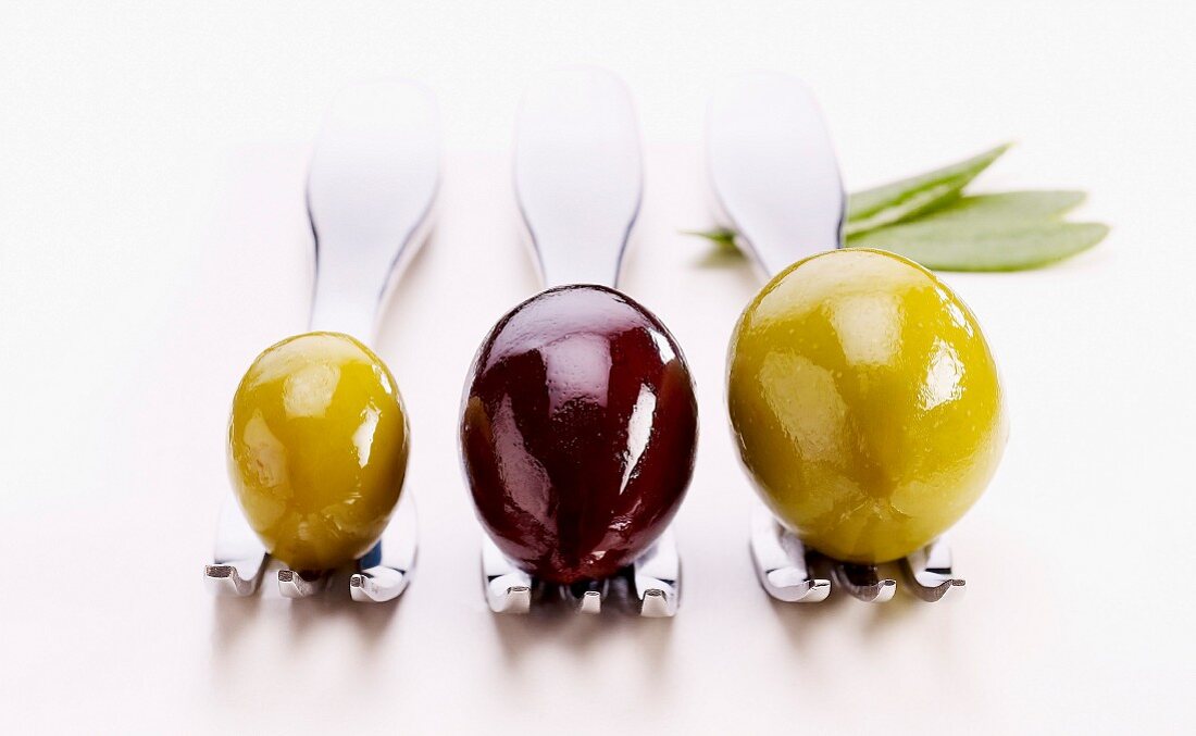 Drei verschiedene Oliven auf Gabeln