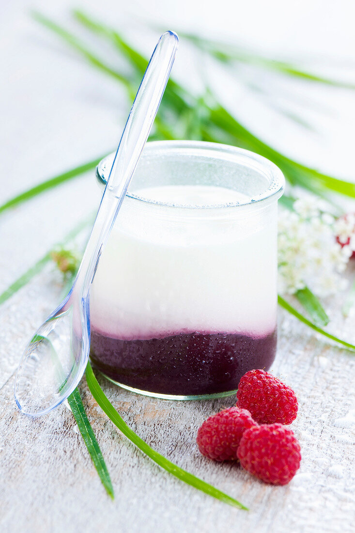 Joghurt mit Himbeerpüree im Glas