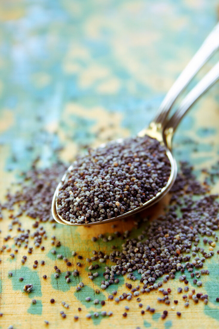 Spoonful of poppyseeds