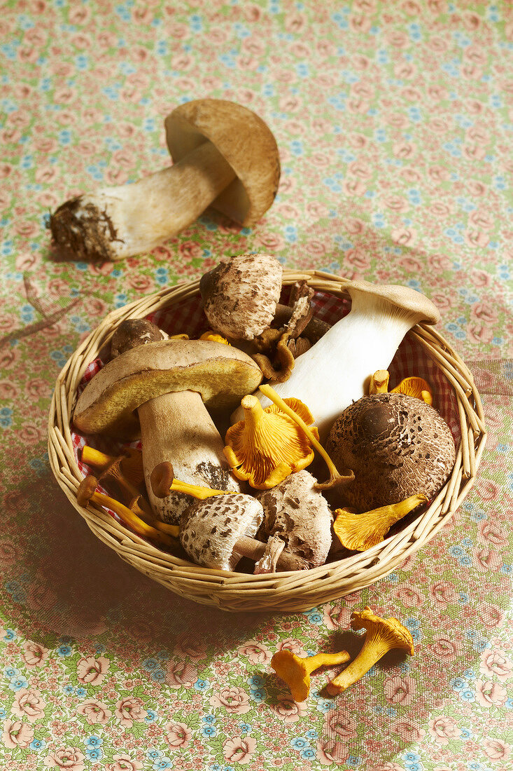 Selection of mushrooms in a basket