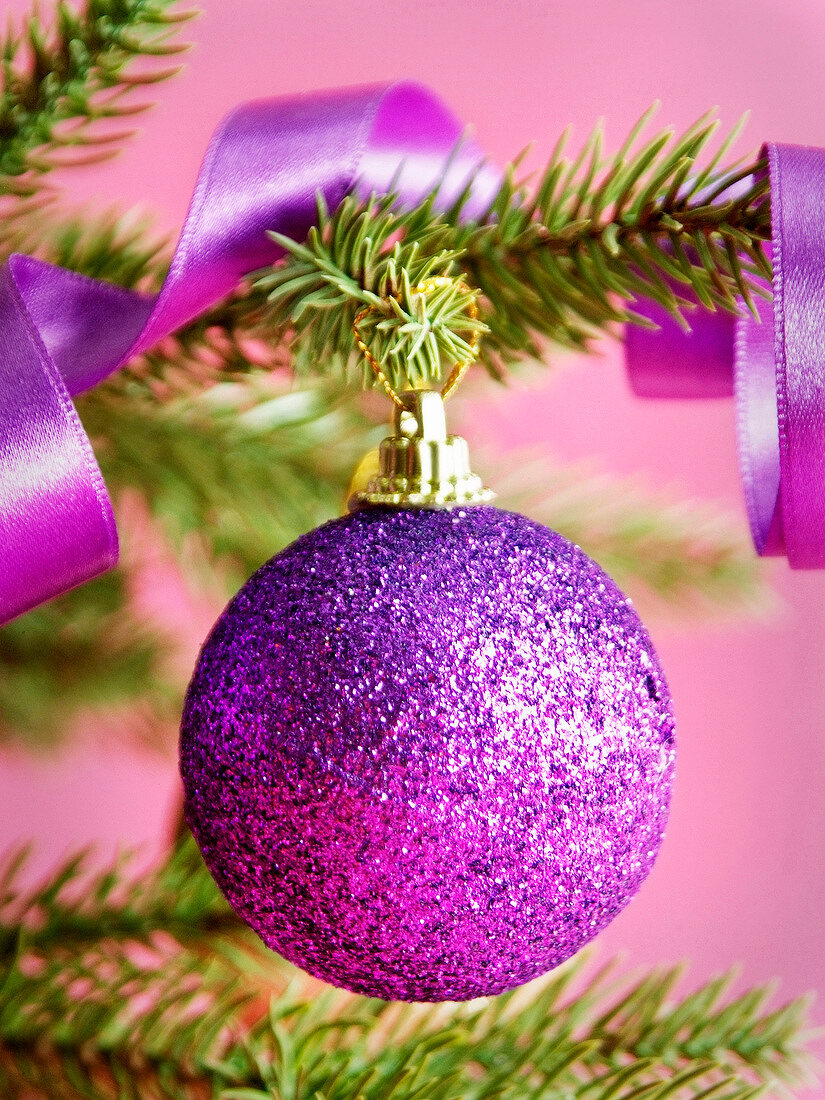 Violette Christbaumkugel hängt an Weihnachtsbaum