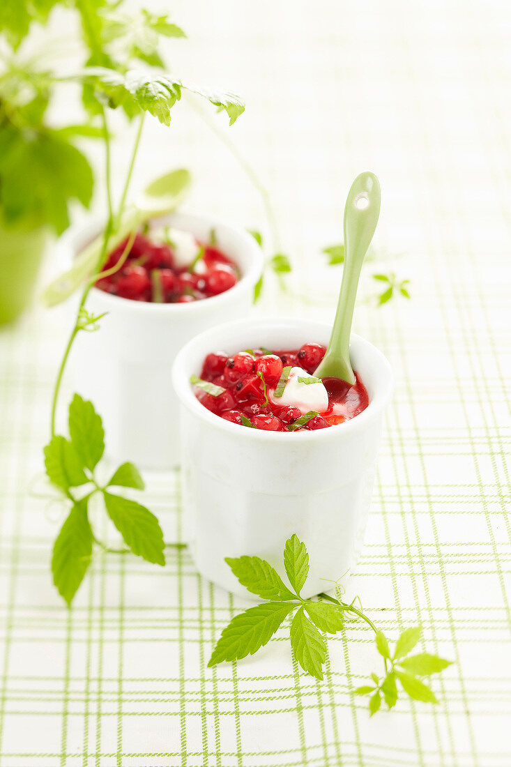 Redcurrant and lemon balm soup with lime sorbet