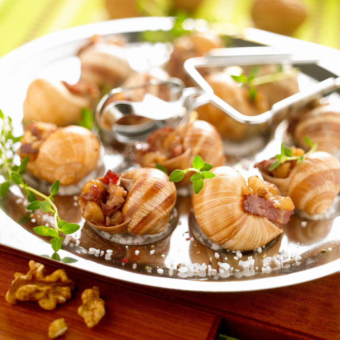 Snails stuffed with diced bacon and walnuts