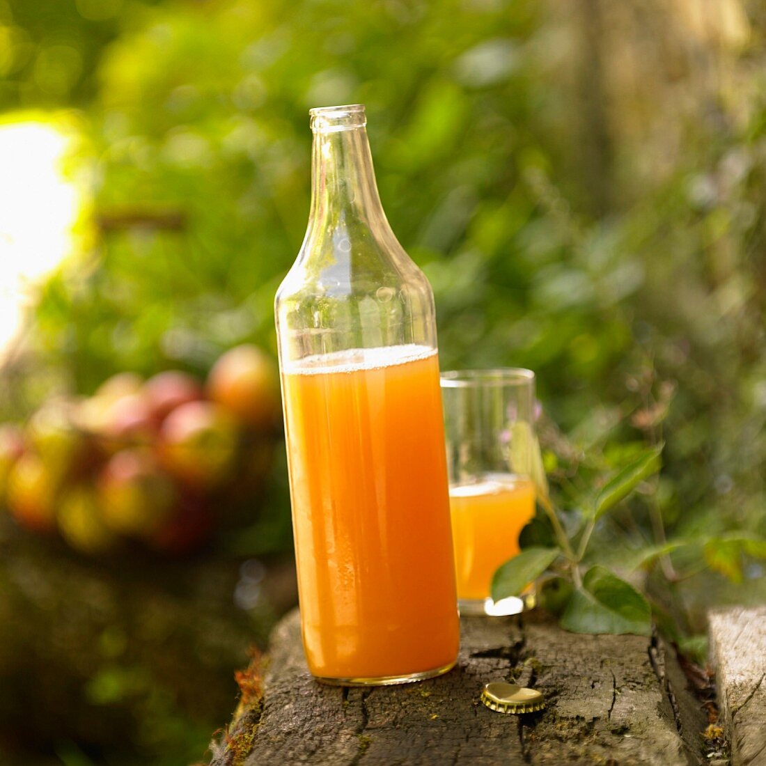 Bottle of homemade apple juice